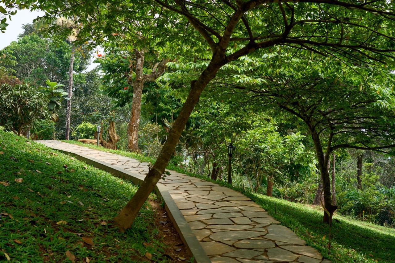 Haze And Kites Resort Munnar Luaran gambar