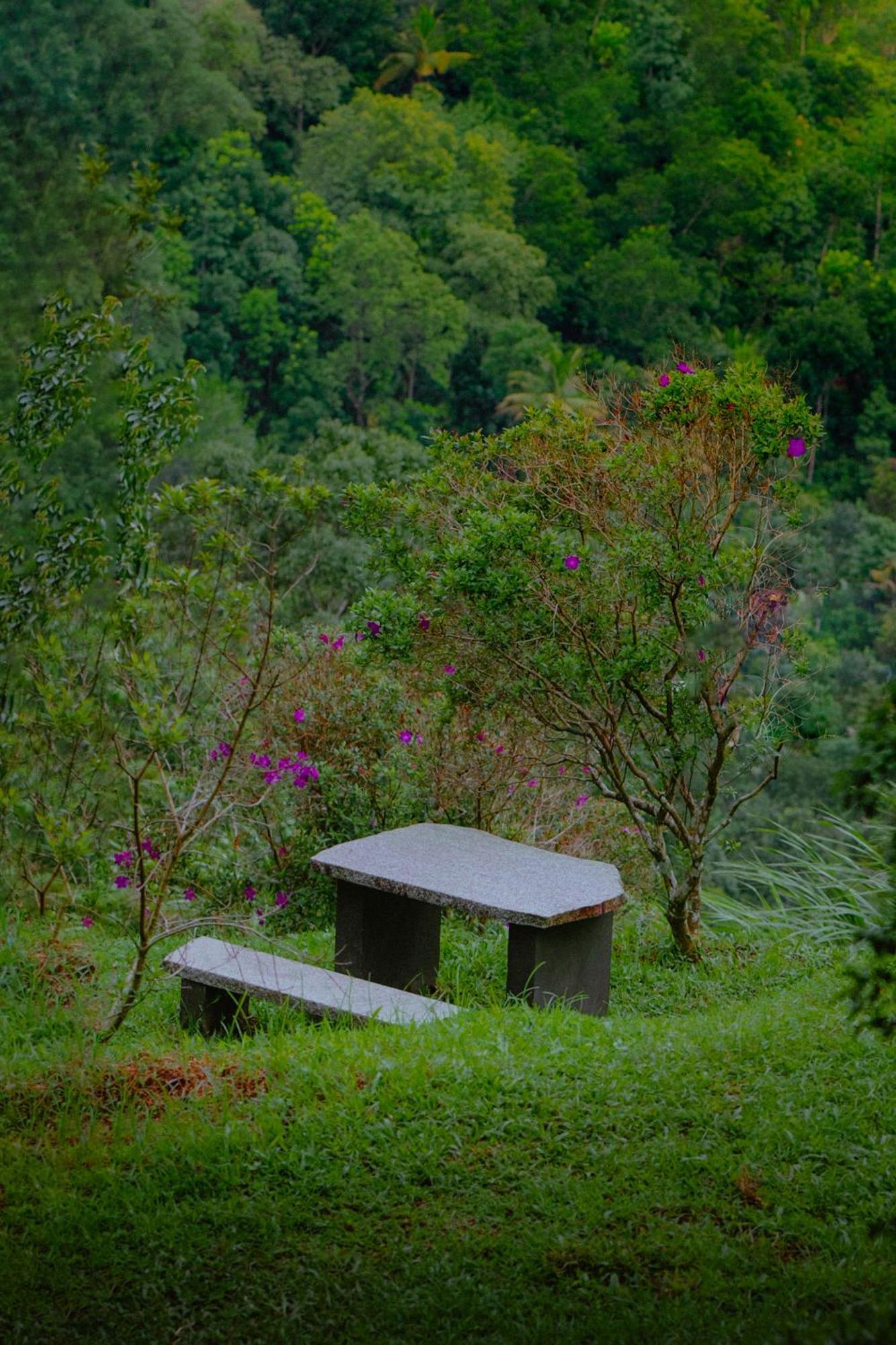 Haze And Kites Resort Munnar Luaran gambar