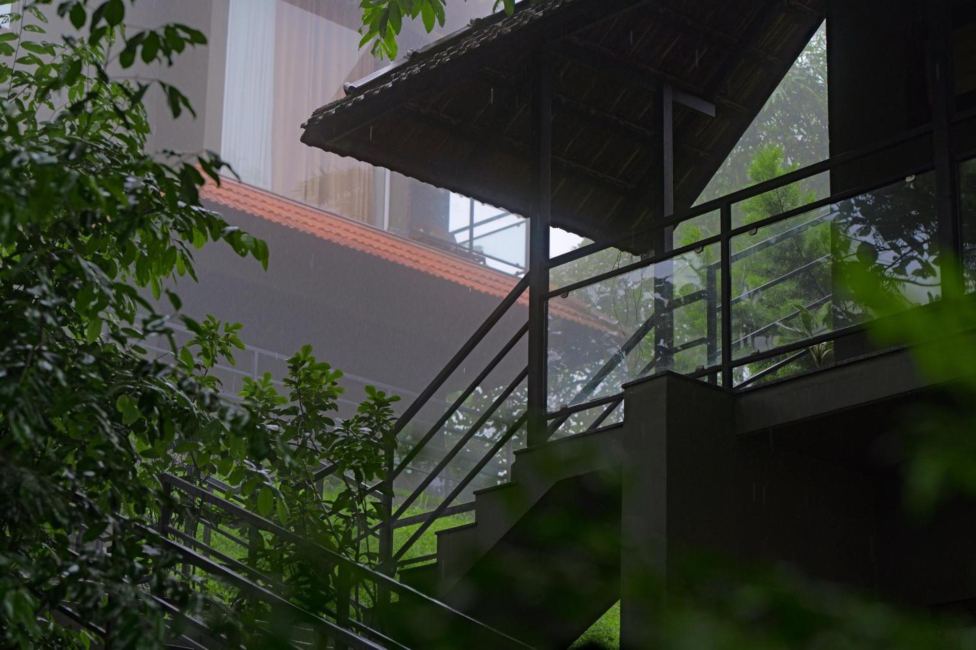 Haze And Kites Resort Munnar Luaran gambar