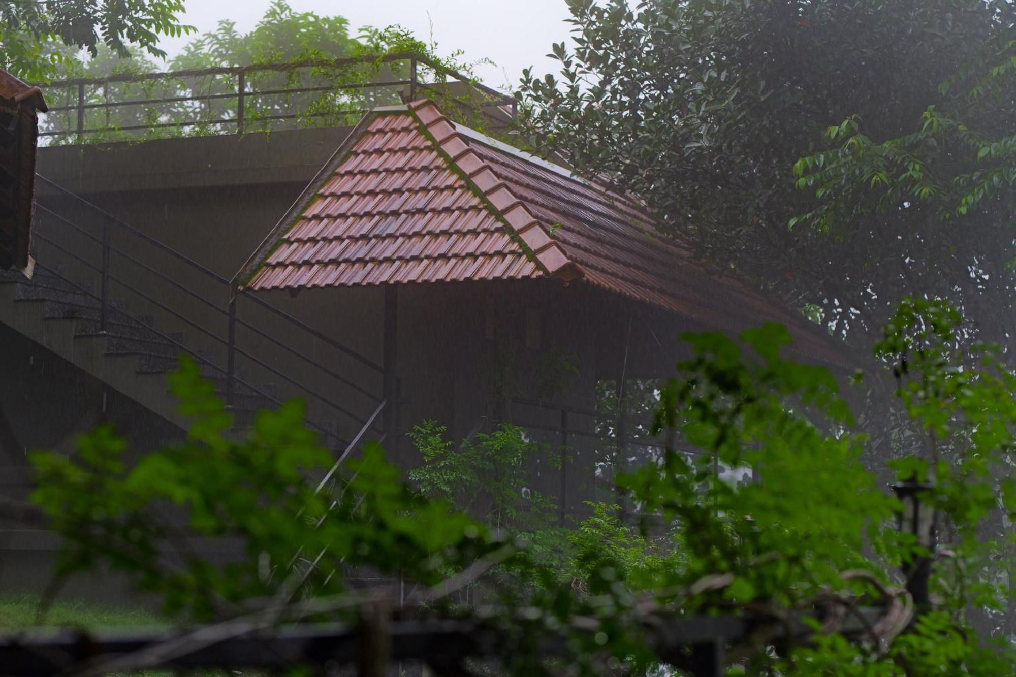 Haze And Kites Resort Munnar Luaran gambar